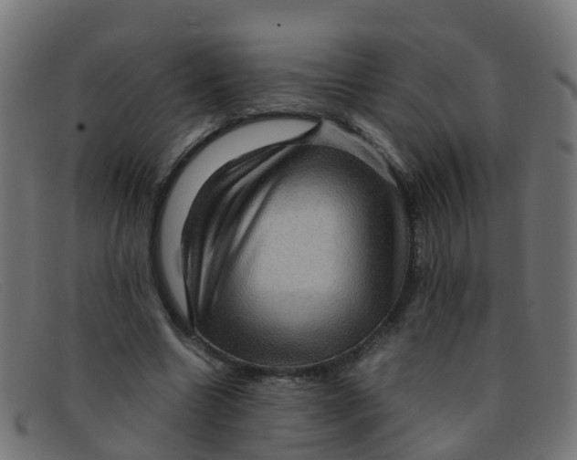 X0000091500538200709131852