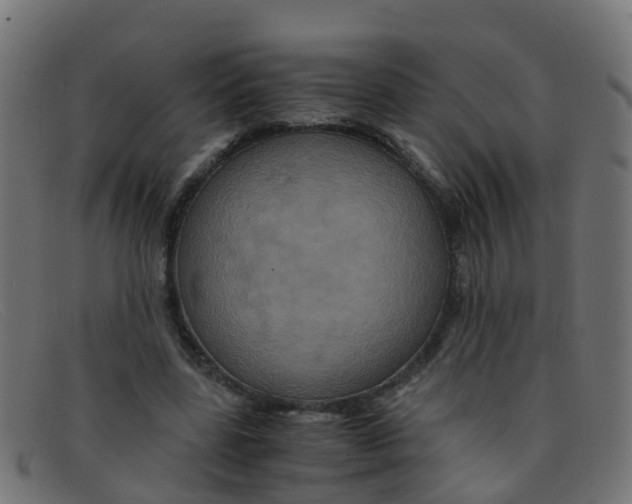 X0000091500539200709131852