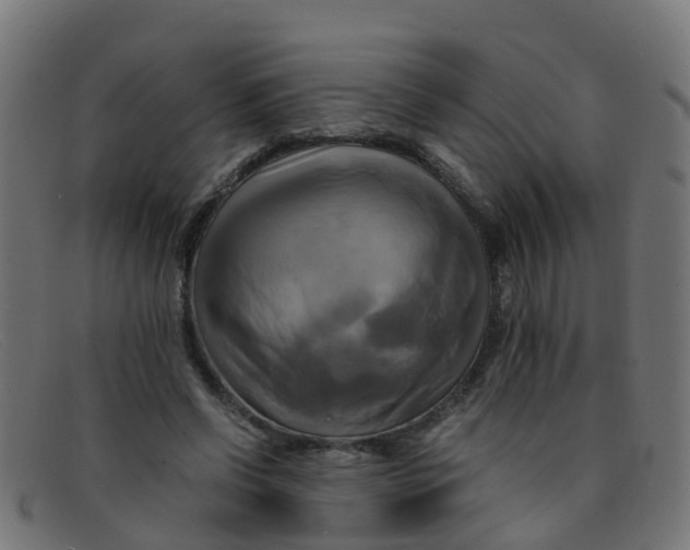 X0000091500542200709131852