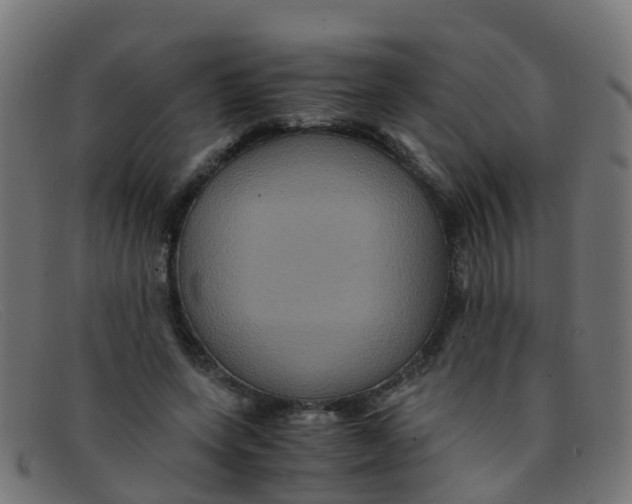 X0000091500543200709131852