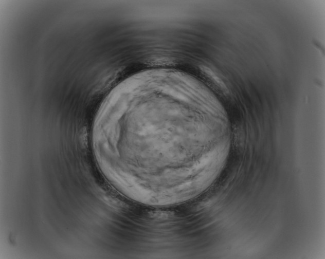 X0000091500549200709131852