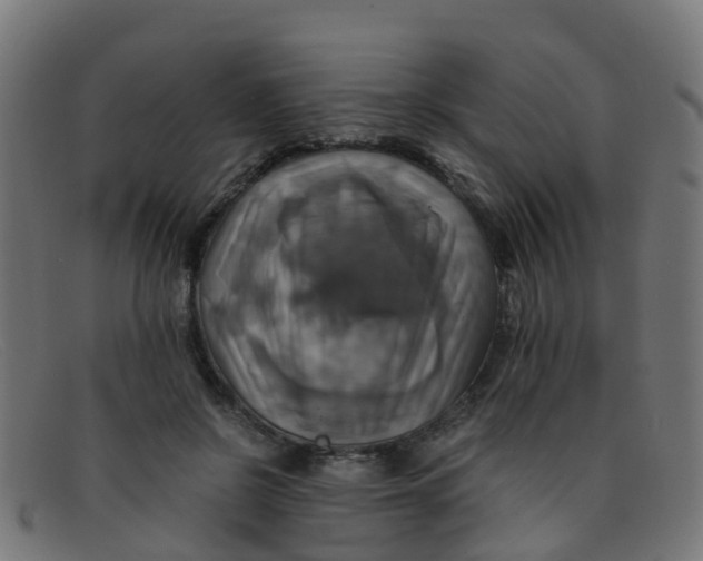 X0000091500550200709131852