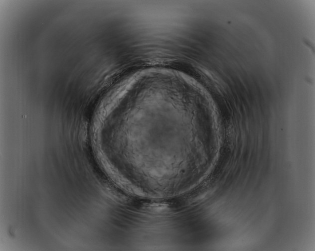 X0000091500554200709131852