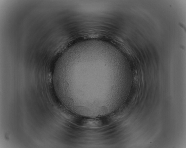 X0000091500555200709131852