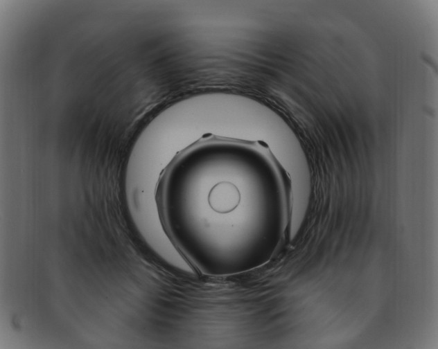 X0000091500556200709131852