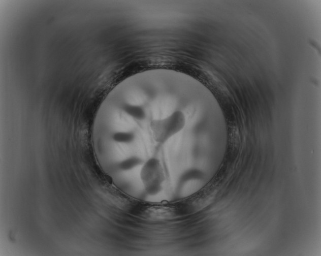 X0000091500557200709131853