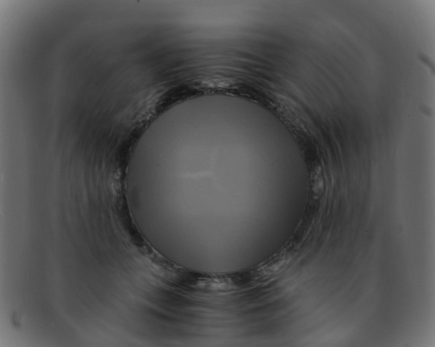 X0000091500559200709131853