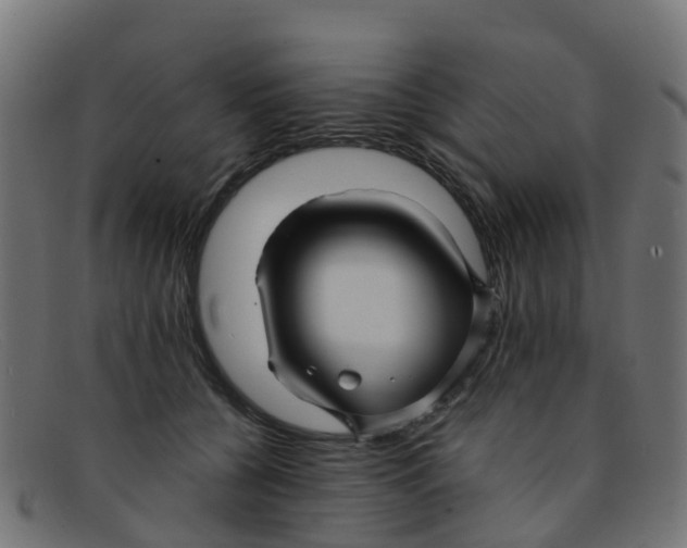 X0000091500560200709131853