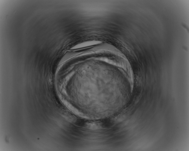 X0000091500561200709131853