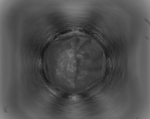 X0000091500564200709131853