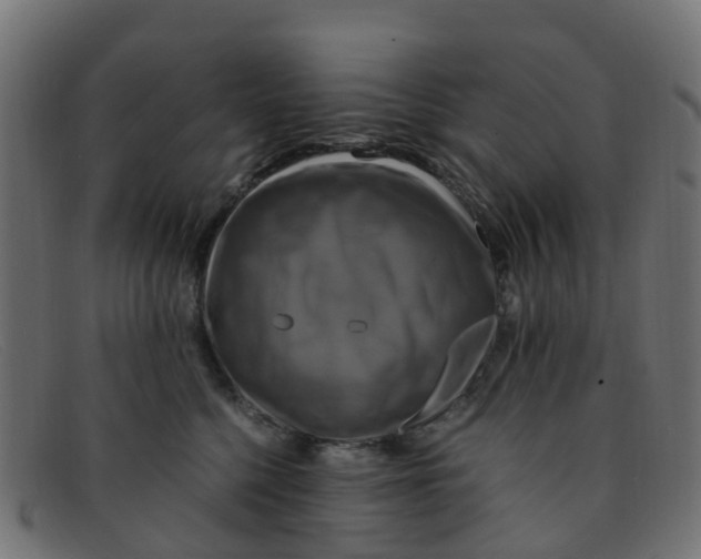 X0000091500568200709131853