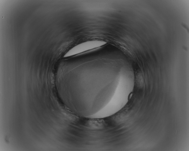 X0000091500571200709131853