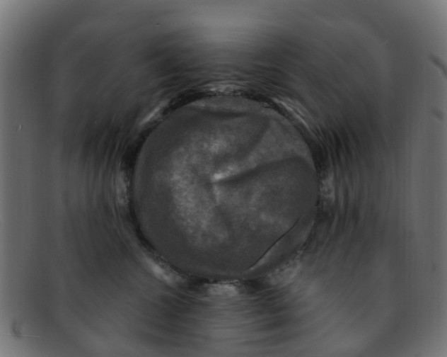 X0000091500572200709131853