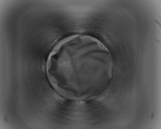 X0000091500576200709131853