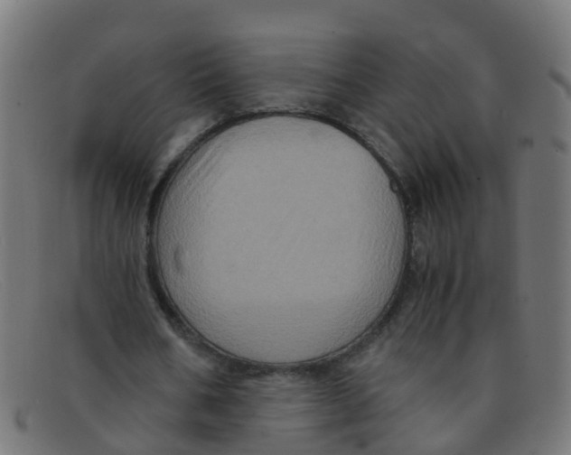 X0000091500578200709131852