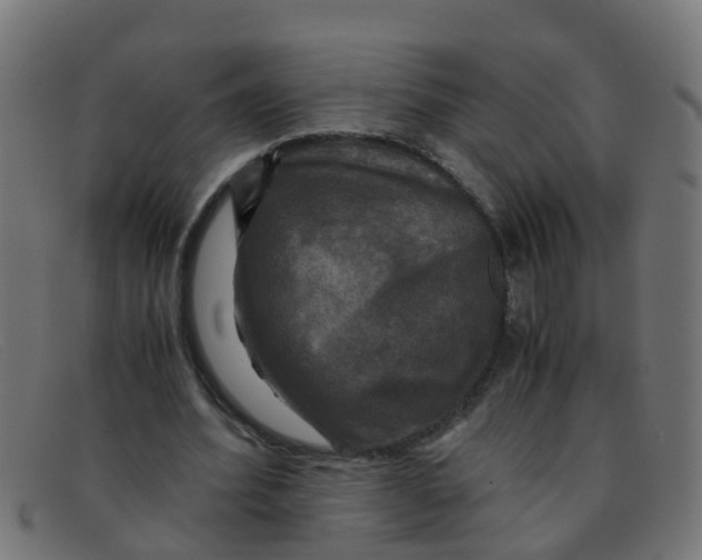 X0000091500580200709131852