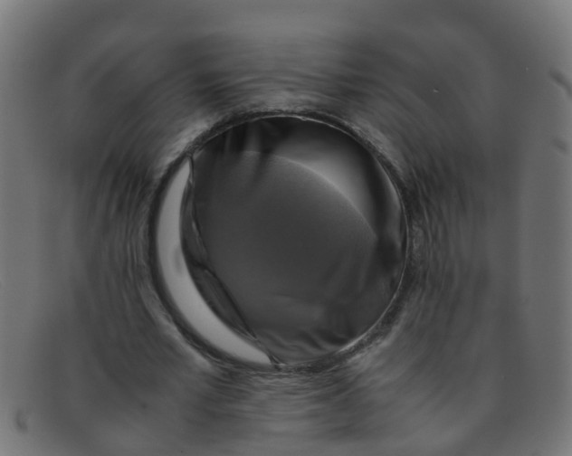 X0000091500581200709131852