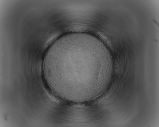 X0000091500586200709131852