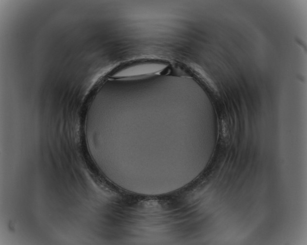 X0000091500588200709131852