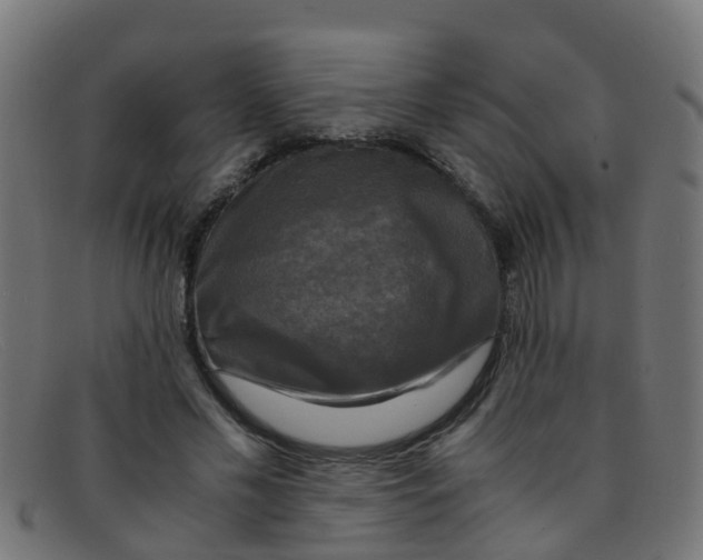 X0000091500589200709131852