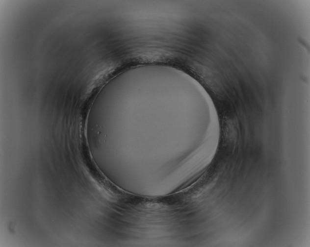 X0000091500590200709131852