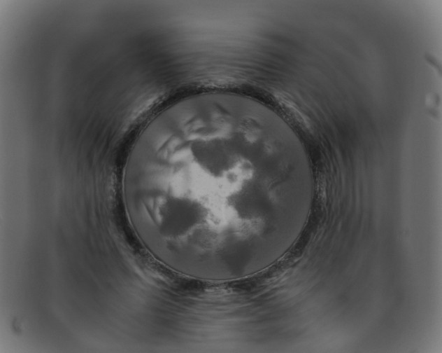 X0000091500591200709131852