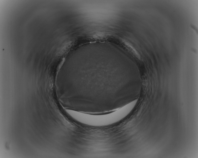 X0000091500593200709131852