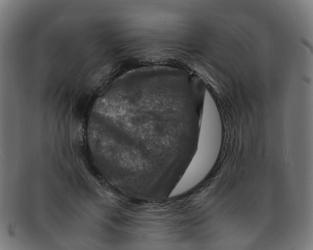 X0000091500597200709131852