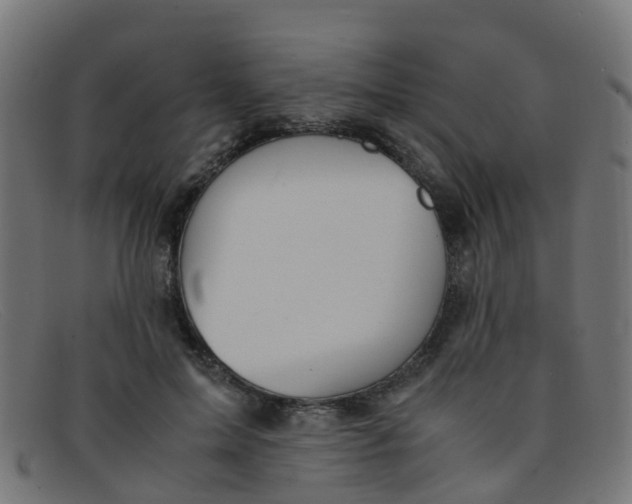 X0000091500599200709131852