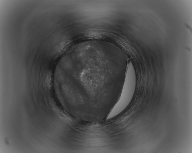 X0000091500600200709131852