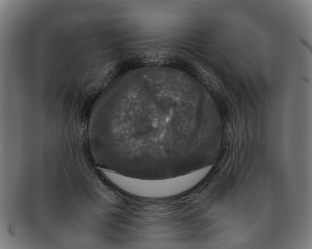 X0000091500601200709131852