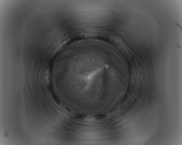 X0000091500604200709131852