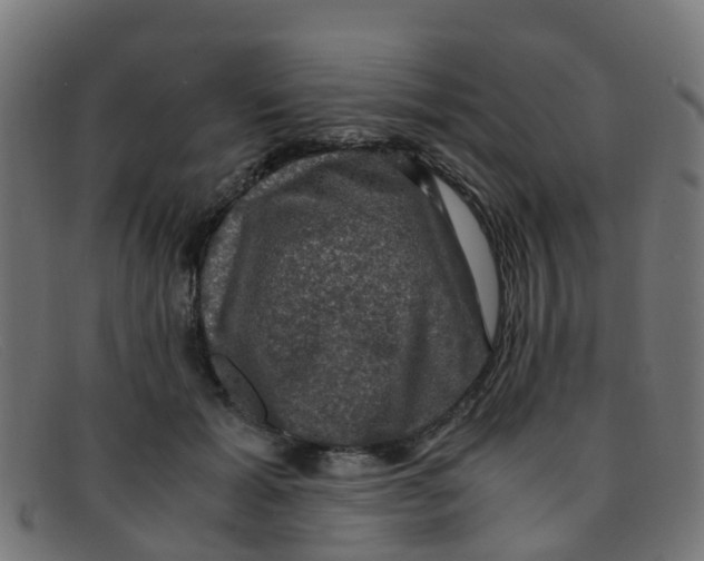 X0000091500605200709131852