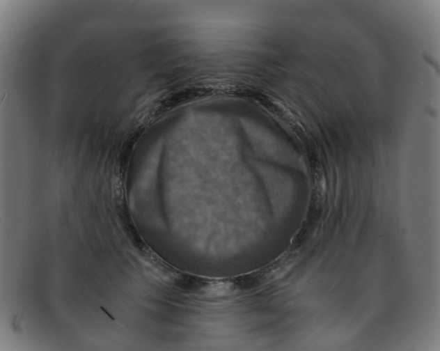 X0000091500609200709131852