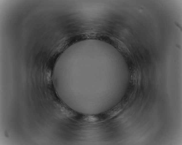 X0000091500610200709131852