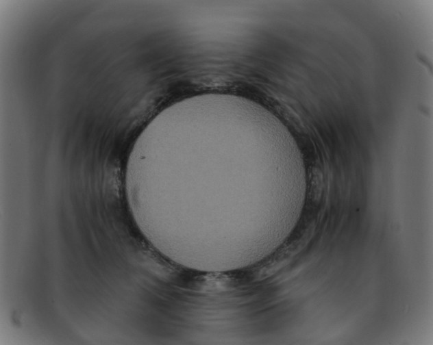 X0000091500612200709131852