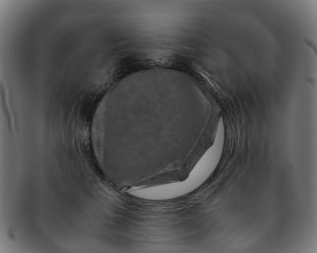 X0000091500613200709131852