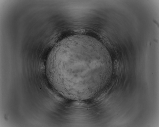 X0000091500614200709131852