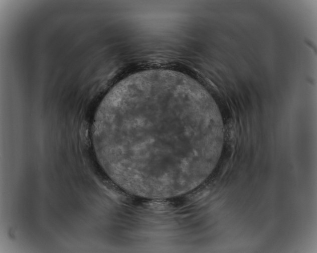 X0000091500615200709131852