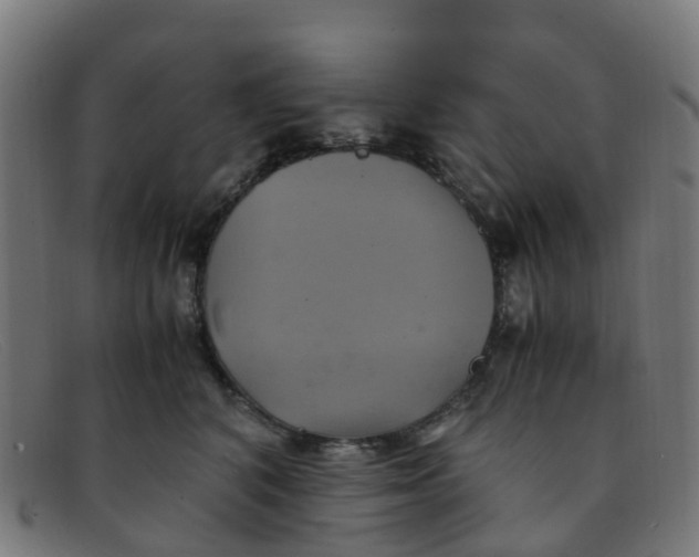 X0000091500616200709131852