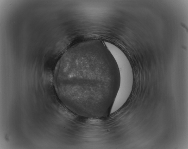 X0000091500617200709131852