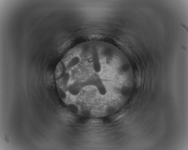 X0000091500619200709131851