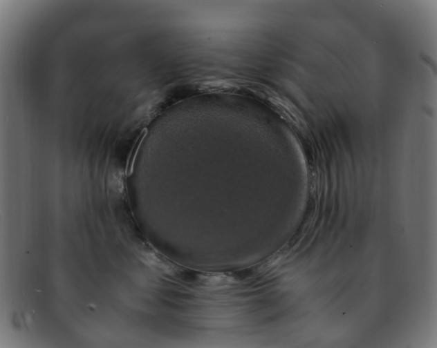 X0000091500621200709131851