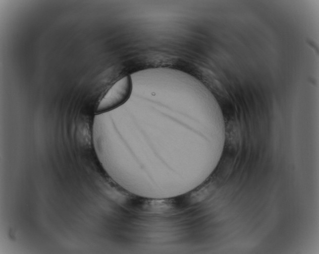 X0000091500622200709131851