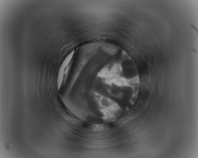 X0000091500623200709131851