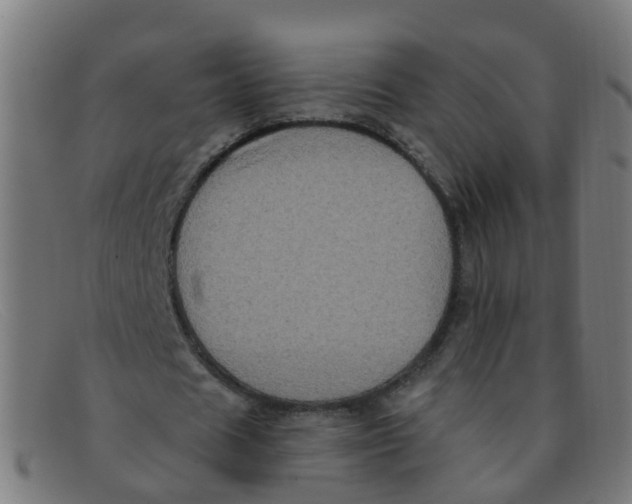 X0000091500625200709131851