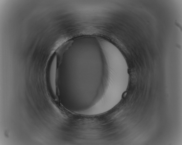 X0000091500626200709131851