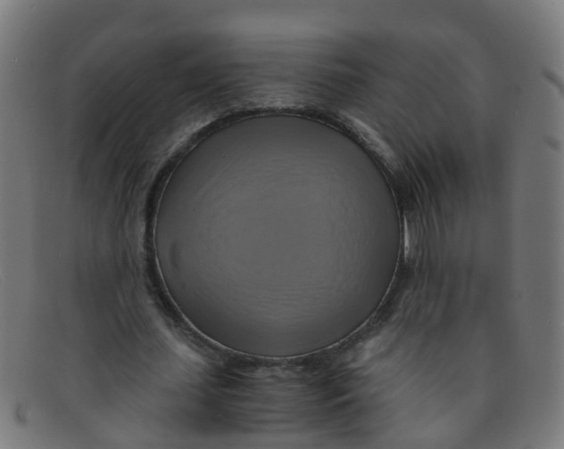 X0000091500627200709131851