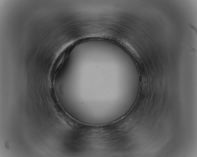 X0000091500628200709131851