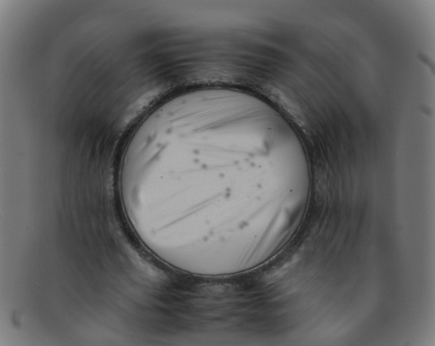 X0000091500629200709131851